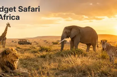 Budget Safari in Africa